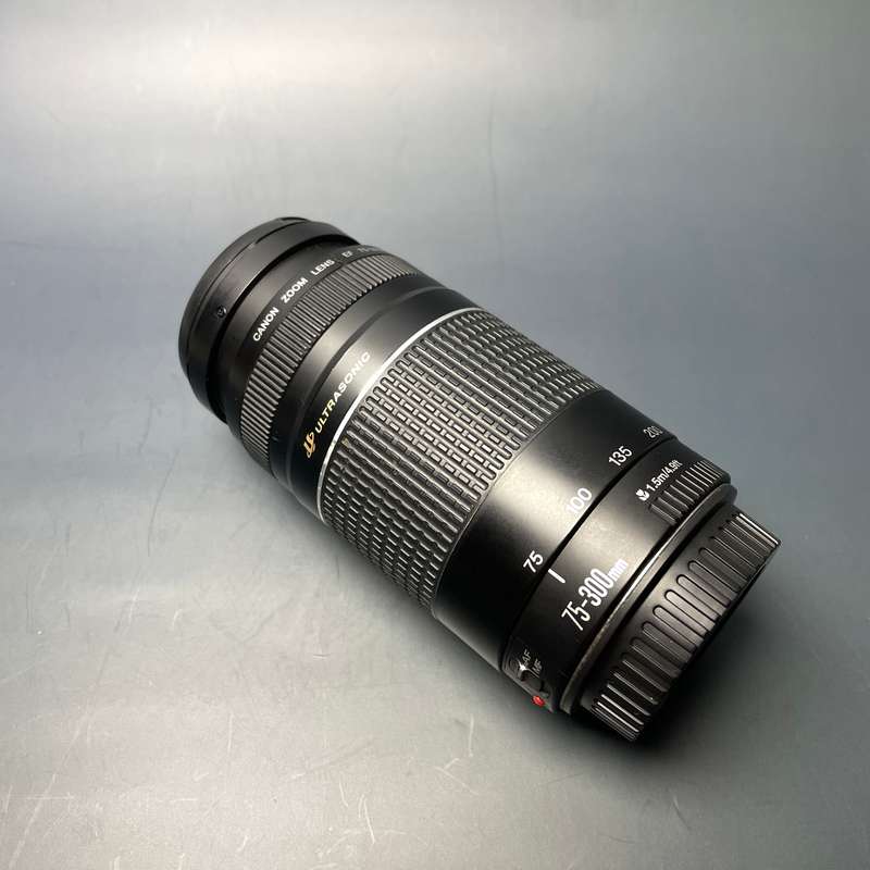 Canon 75-300mm USM EF Lens