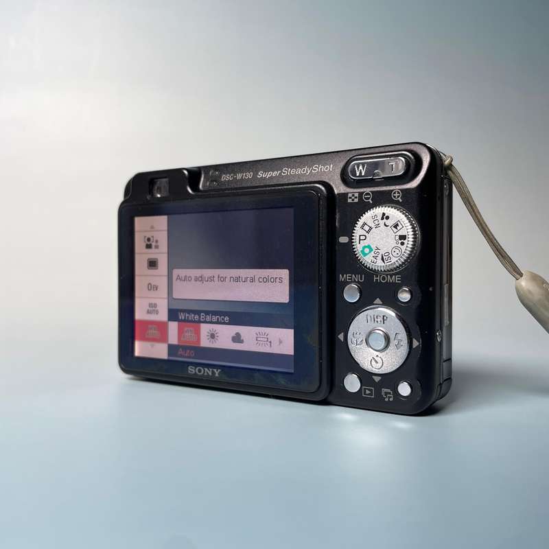 Sony DSC-W130 8.1 MP Camera 5x Zoom