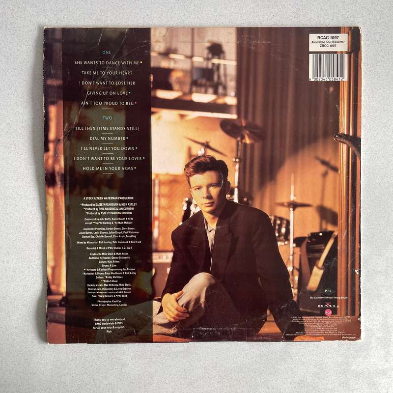 Rick Astley Hold me in your arms LP Record Vinyl