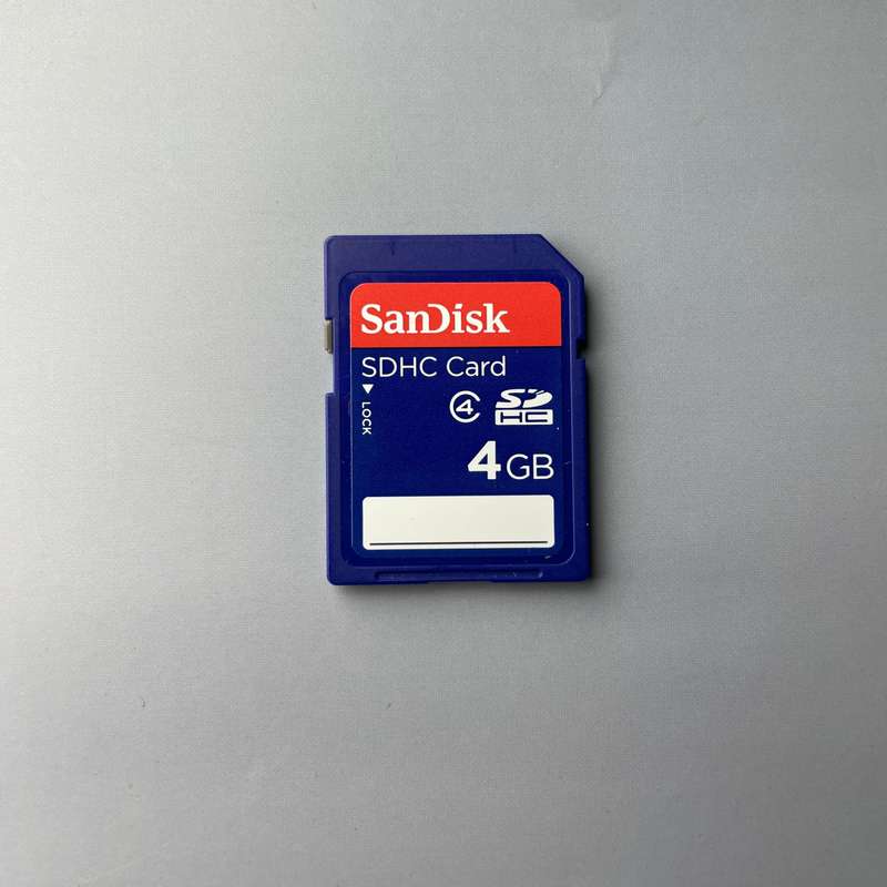 SanDisk 4GB SD Card