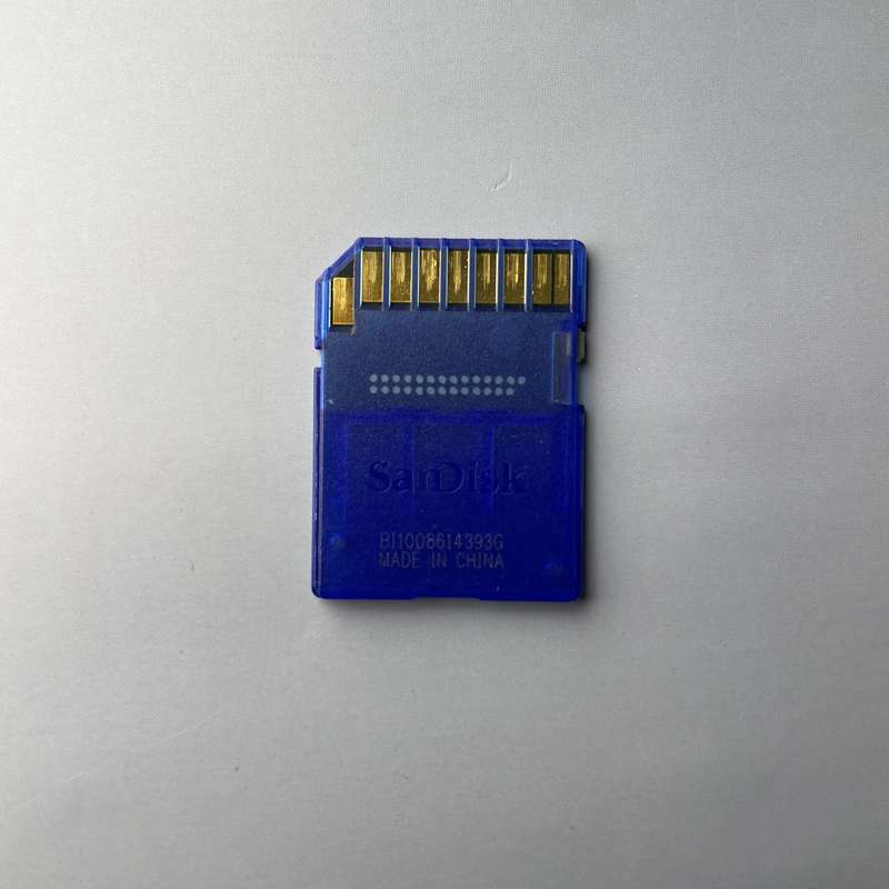 SanDisk 8GB SD Card