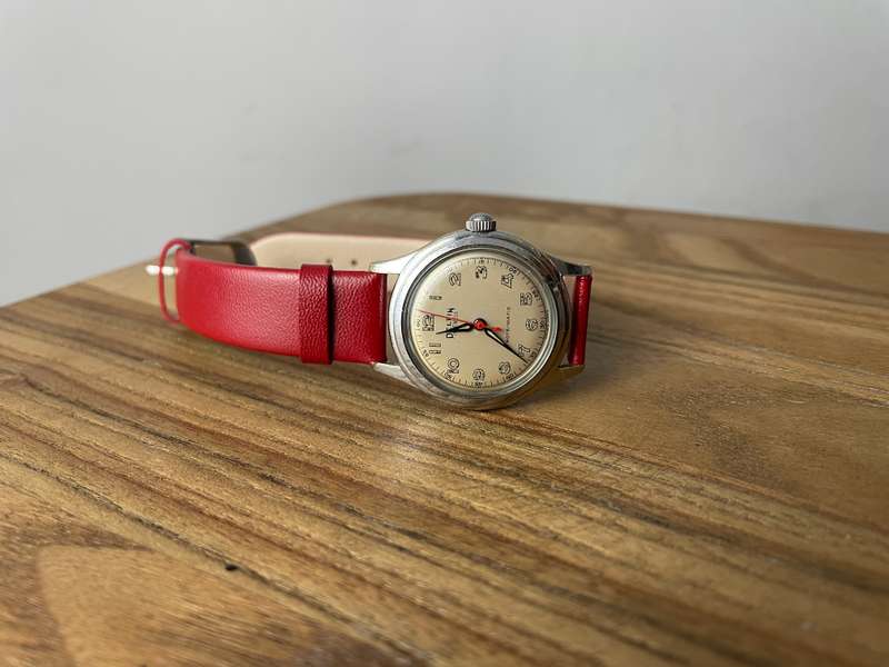 Delfin 17 Jewels Vintage Watch