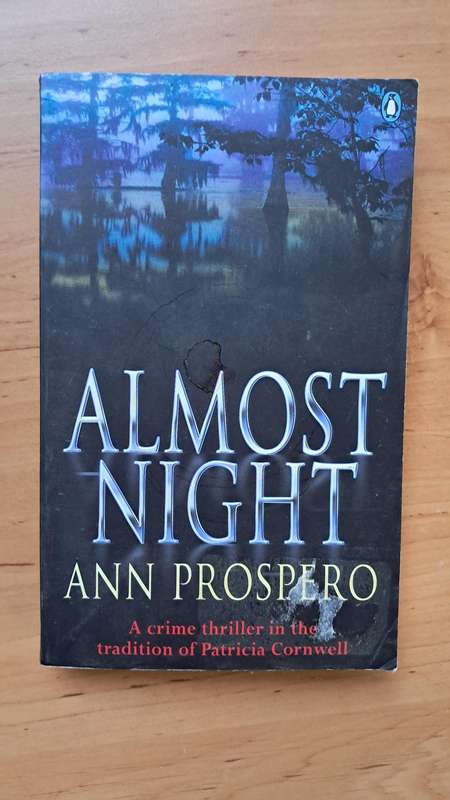Almost Night by Ann Prospero