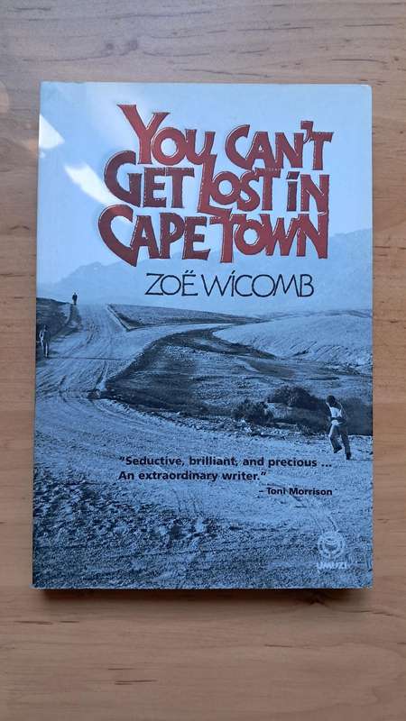 You Can't Get Lost in Cape Town by Zoë Wicomb