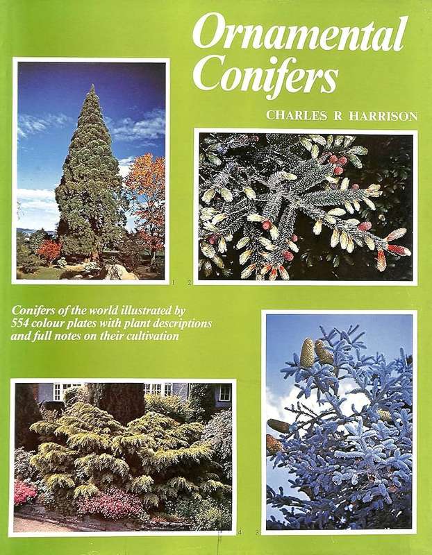 Ornamental Conifers (002845760X)