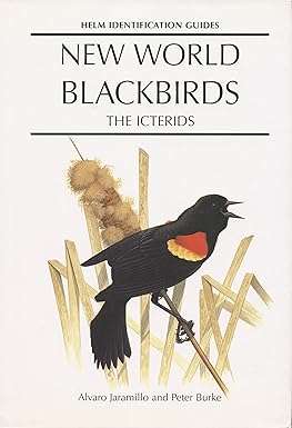 New World Blackbirds - The Icterdis (0713643331)