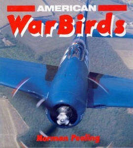 American Warbirds (0850458471)