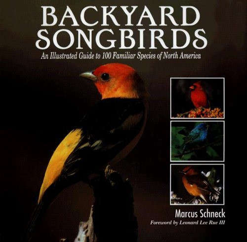 Backyard Songbirds (1597641103)(TAS018878)