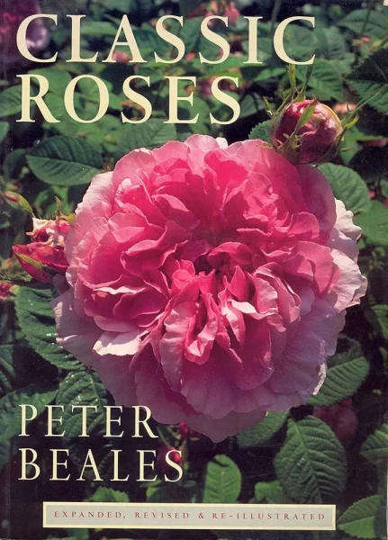 Classic Roses (97818604563037)