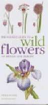 The Mitchell Beazley Pocket Guide to Wild Flowers (185732773X)(TAS014648) PRICE NEGOTIABLE