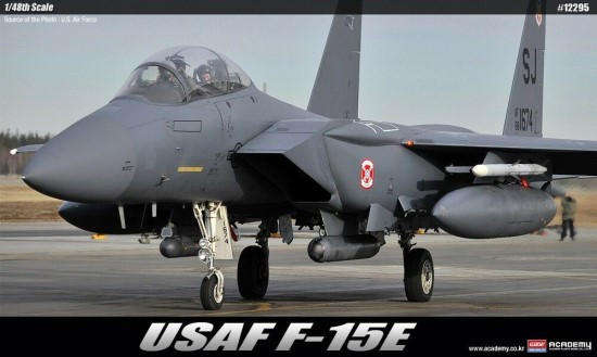 F-15E Strike Eagle 'Seymore Johnson' - 1/48 Scale (Academy 12295)