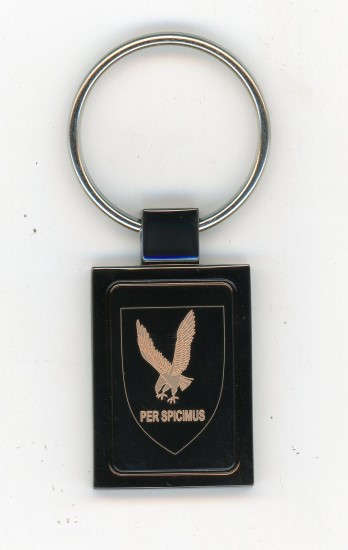 42 Squadron SAAF Badge Metal Key Ring (KR42)