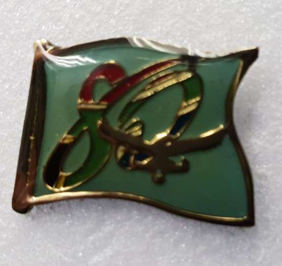 SAAF 80 Emblem (PIN106)(TAS Pins)