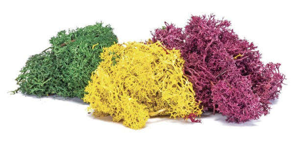 Lichen Autumn Mix 35gm (Hornby R7196)
