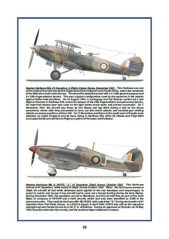 South African Air Force Fighter Squadrons Vol 1 East African Campaign 1940-42 (9781037078422)