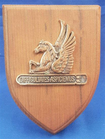 No 5 Sqn SAAF Shield