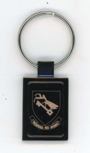 84 Light Aircraft Flying School SAAF Badge Metal Key Ring (KR84)