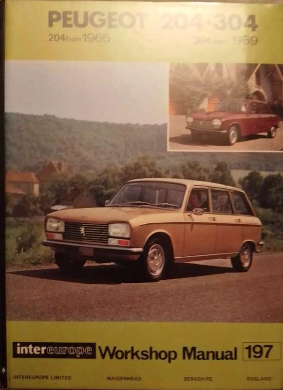 Peugeot 204-304 (IE197)