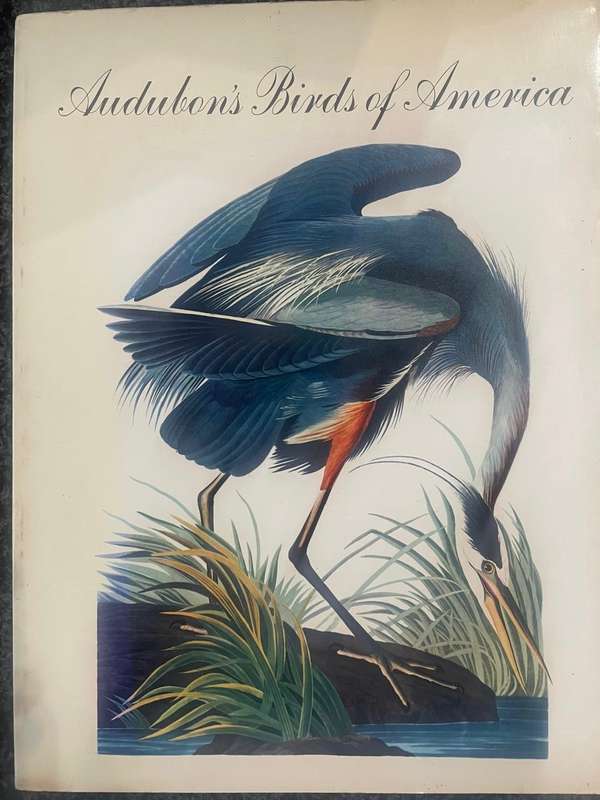 AUDUBON'S BIRDS OF AMERICA BY JOHN JAMES AUDUBON