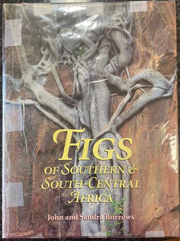 FIGS OF SOUTHERN & SOUTH-CENTRAL AFRICA BY JOHN AND SANDRA BURROWS