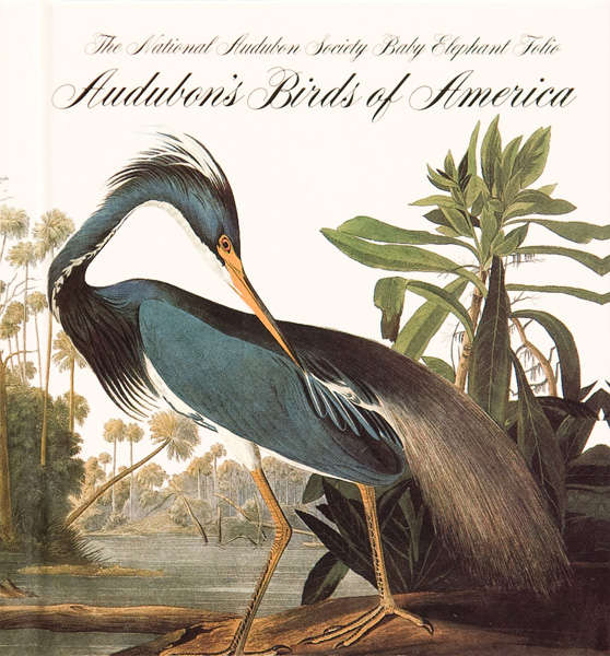 AUDUBON`S BIRDS OF NORTH AMERICA - THE COMPLETE 500 PAINTINGS