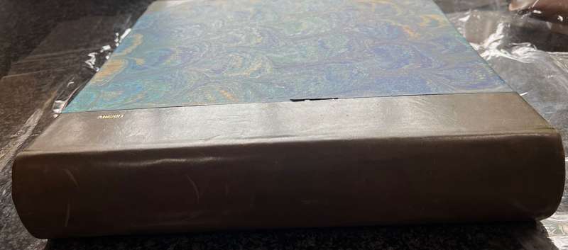 BEAUTIFUL PEACOCK DESIGN PHOTO ALBUM QUARTER LEATHER BOUND WITH DETAILING IN PRISTINE CONDITION