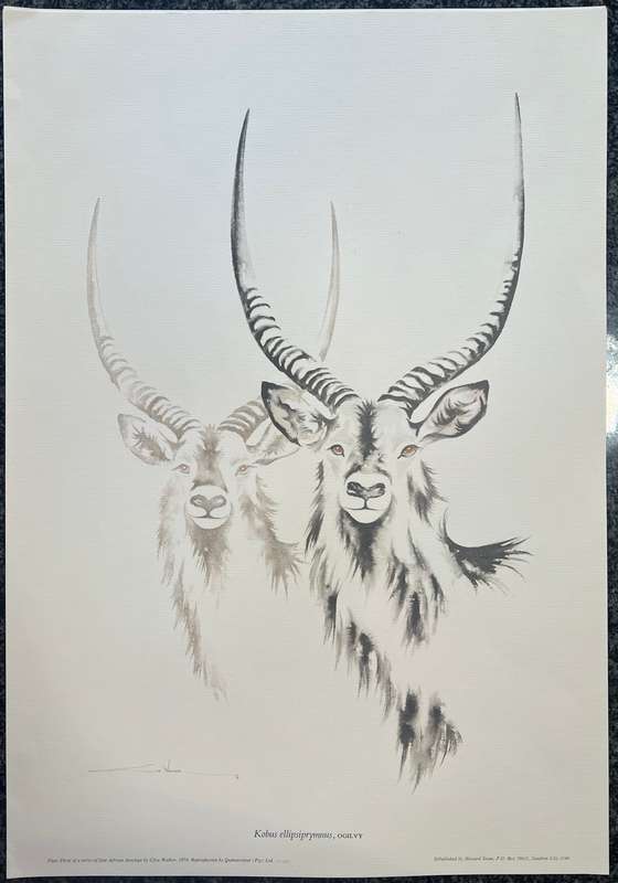 1 x COLLECTION OF 4 LITHOGRAPHIC PRINTS OF AFRICAN ANTELOPE BY CLIVE WALKER