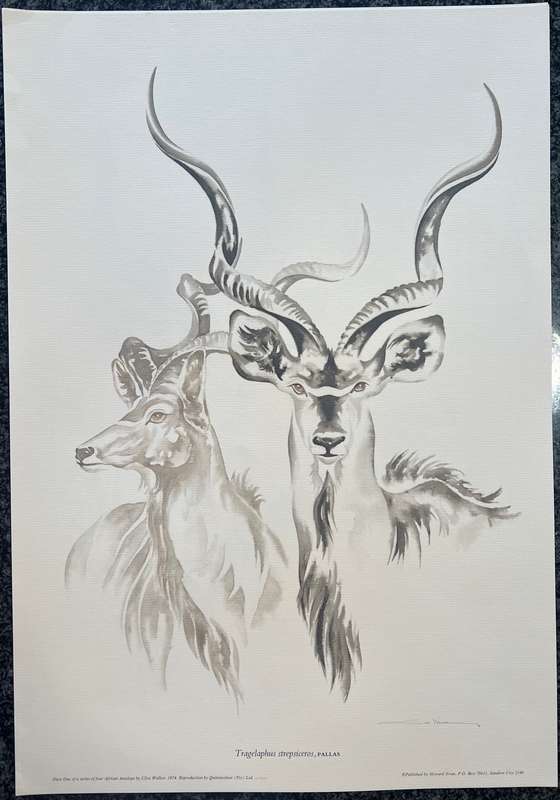 1 x COLLECTION OF 4 LITHOGRAPHIC PRINTS OF AFRICAN ANTELOPE BY CLIVE WALKER
