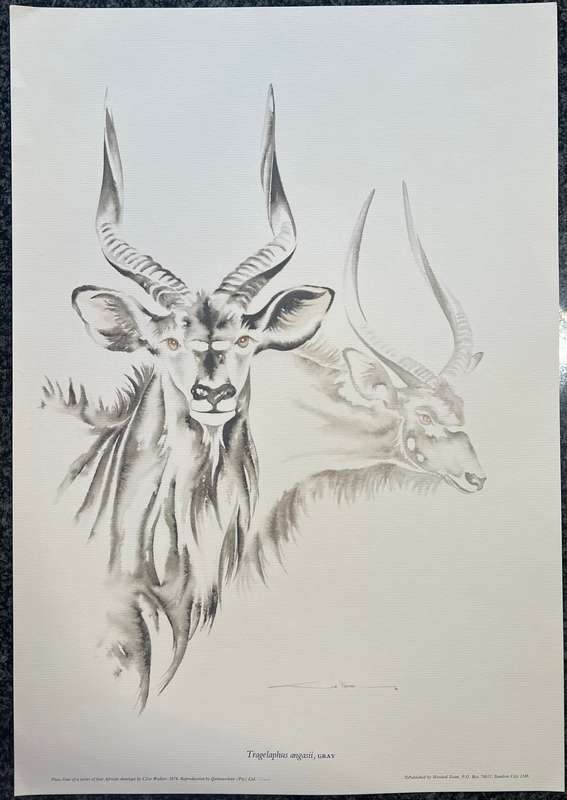 1 x COLLECTION OF 4 LITHOGRAPHIC PRINTS OF AFRICAN ANTELOPE BY CLIVE WALKER