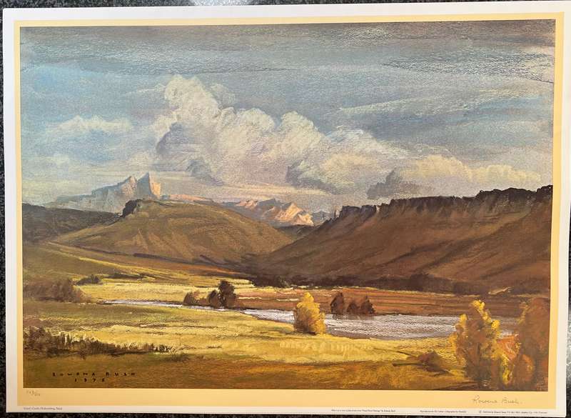 SIGNED, NUMBERED! 1 x COLLECTION OF 4 PRINTS BY LISTED SOUTH AFRICAN ARTIST ROWENA BUSH, NATAL