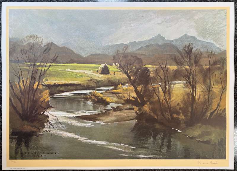 SIGNED, NUMBERED! 1 x COLLECTION OF 4 PRINTS BY LISTED SOUTH AFRICAN ARTIST ROWENA BUSH, NATAL