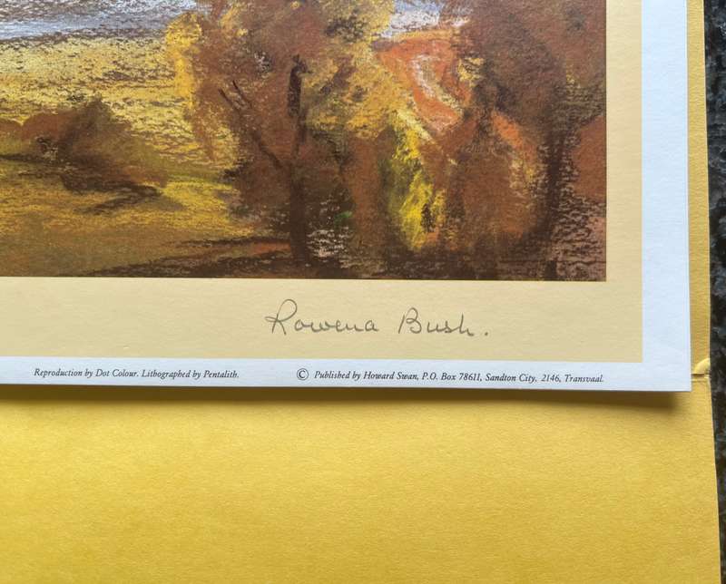 SIGNED, NUMBERED! 1 x COLLECTION OF 4 PRINTS BY LISTED SOUTH AFRICAN ARTIST ROWENA BUSH, NATAL