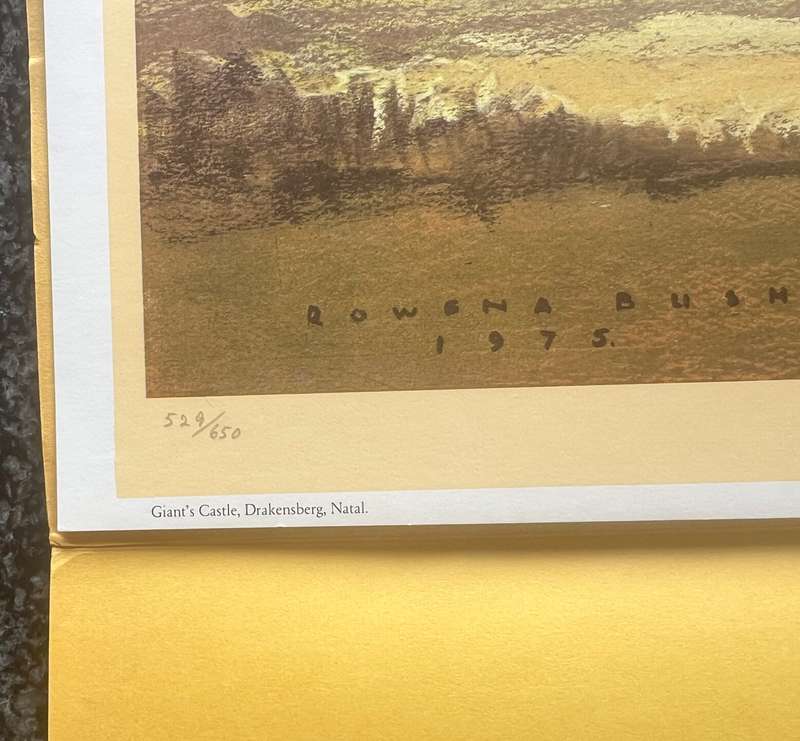 SIGNED, NUMBERED! 1 x COLLECTION OF 4 PRINTS BY LISTED SOUTH AFRICAN ARTIST ROWENA BUSH, NATAL