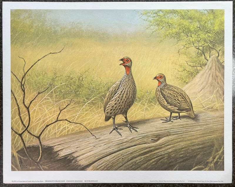 SIGNED, NUMBERED! 1 x COLLECTION OF 4 PRINTS BY RAY BLACK, SOUTH AFRICAN GAME BIRDS