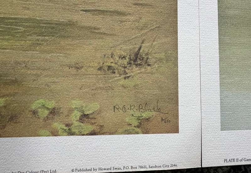 SIGNED, NUMBERED! 1 x COLLECTION OF 4 PRINTS BY RAY BLACK, SOUTH AFRICAN GAME BIRDS
