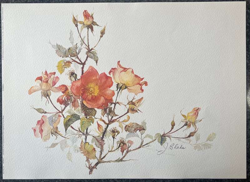 1 x COLLECTION OF 2 PRINTS BY LISTED SOUTH AFRICAN ARTIST JOYCE BLAKE, ROSES