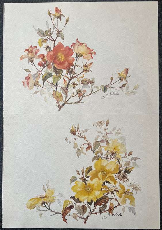 1 x COLLECTION OF 2 PRINTS BY LISTED SOUTH AFRICAN ARTIST JOYCE BLAKE, ROSES