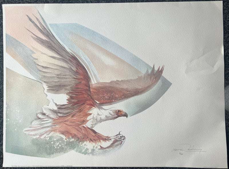 SIGNED, NUMBERED! 1 x COLLECTION OF 2 PRINTS BY LISTED ARTIST DERRIC VAN RENSBURG, "THE STRIKE"