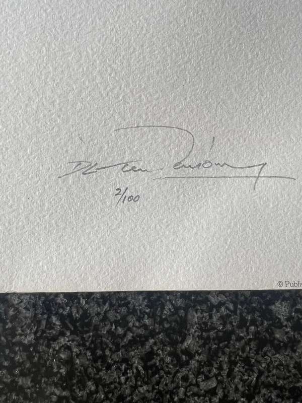 SIGNED, NUMBERED! 1 x COLLECTION OF 2 PRINTS BY LISTED ARTIST DERRIC VAN RENSBURG, "THE STRIKE"