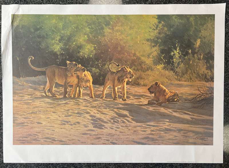 1 x COLLECTION OF 5 PRINTS "MALA MALA: THE BIG FIVE" BY LISTED SOUTH AFRICAN ARTIST DINO PARAVANO