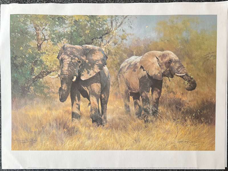 1 x COLLECTION OF 5 PRINTS "MALA MALA: THE BIG FIVE" BY LISTED SOUTH AFRICAN ARTIST DINO PARAVANO