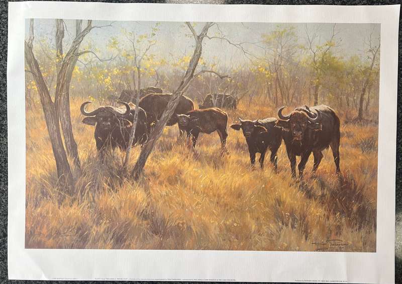 1 x COLLECTION OF 5 PRINTS "MALA MALA: THE BIG FIVE" BY LISTED SOUTH AFRICAN ARTIST DINO PARAVANO