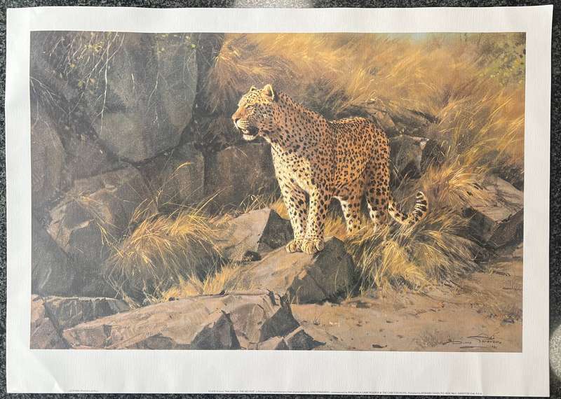 1 x COLLECTION OF 5 PRINTS "MALA MALA: THE BIG FIVE" BY LISTED SOUTH AFRICAN ARTIST DINO PARAVANO