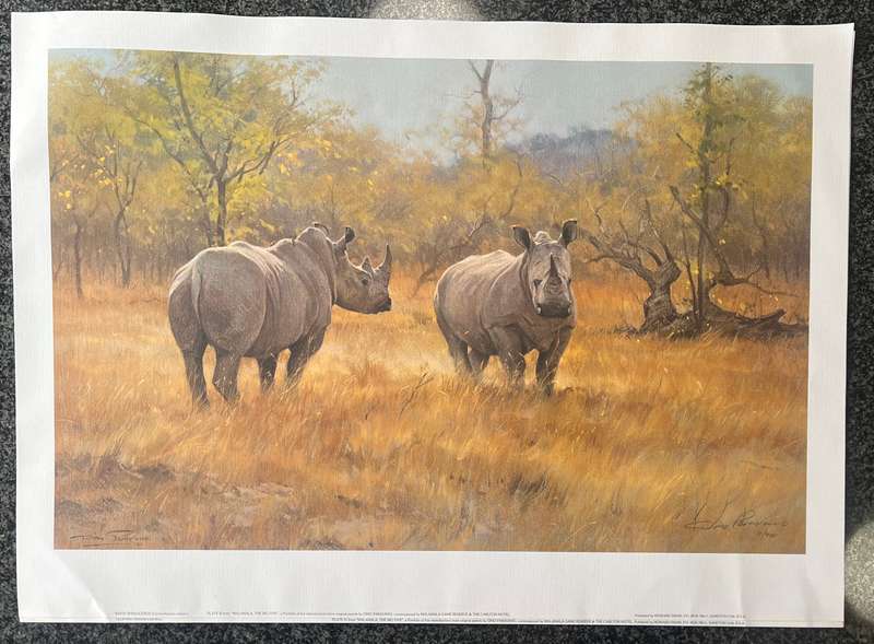 1 x COLLECTION OF 5 PRINTS "MALA MALA: THE BIG FIVE" BY LISTED SOUTH AFRICAN ARTIST DINO PARAVANO