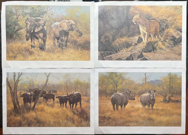 1 x COLLECTION OF 5 PRINTS "MALA MALA: THE BIG FIVE" BY LISTED SOUTH AFRICAN ARTIST DINO PARAVANO