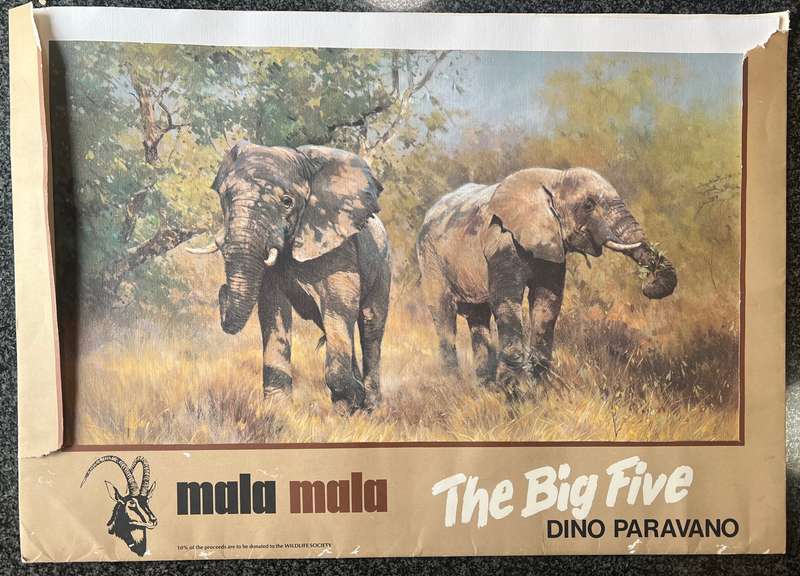 1 x COLLECTION OF 5 PRINTS "MALA MALA: THE BIG FIVE" BY LISTED SOUTH AFRICAN ARTIST DINO PARAVANO