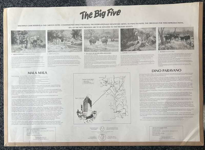 1 x COLLECTION OF 5 PRINTS "MALA MALA: THE BIG FIVE" BY LISTED SOUTH AFRICAN ARTIST DINO PARAVANO