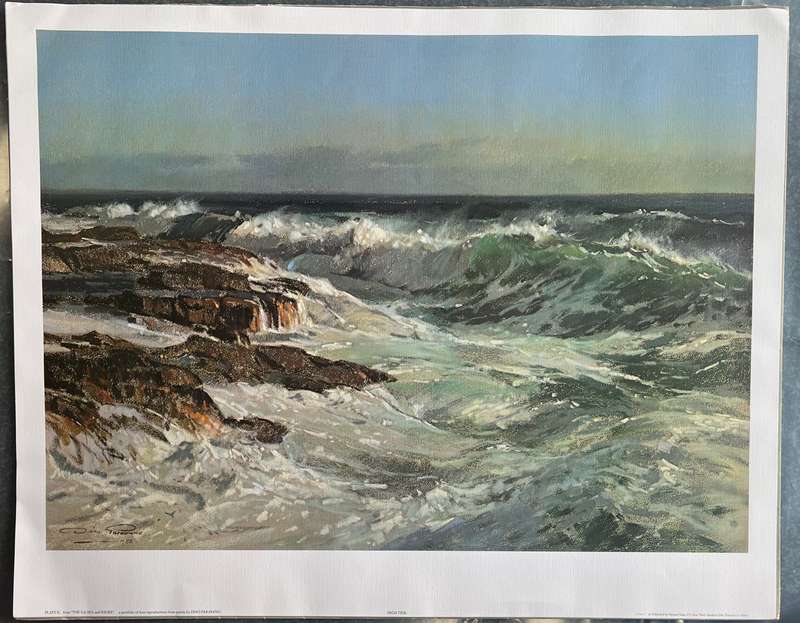 1 x COLLECTION OF 3 PRINTS "THE SOUTH AFRICAN SEA AND SHORE" BY LISTED ARTIST DINO PARAVANO