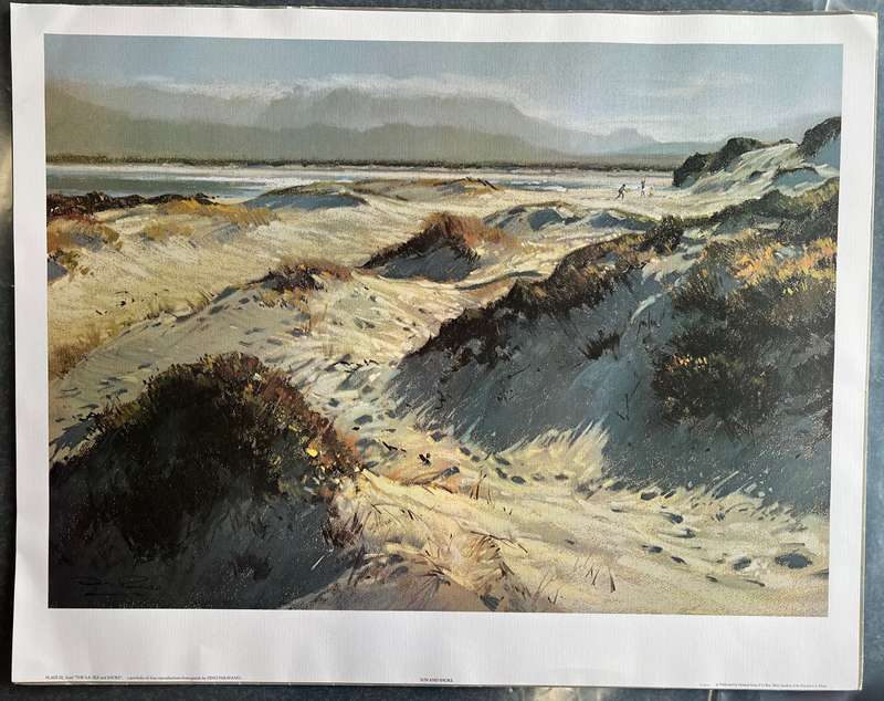 1 x COLLECTION OF 3 PRINTS "THE SOUTH AFRICAN SEA AND SHORE" BY LISTED ARTIST DINO PARAVANO