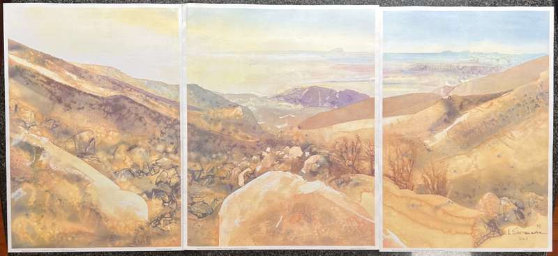 1 x COLLECTION OF 3 PRINTS " ELEMENTAL" BY LISTED SOUTH AFRICAN ARTIST ULRICH SCHWANECKE